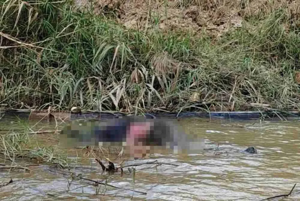 Seorang lelaki yang hilang sejak dua hari lalu ditemukan lemas di Sungai Kelantan, berhampiran Kampung Atas Pinggir, Tendong di Pasir Mas pada Sabtu. Foto PDRM