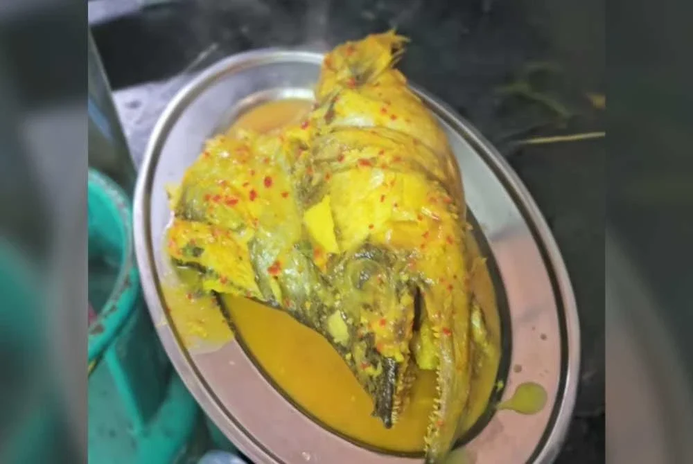 Menu ikan begahak masak tempoyak.