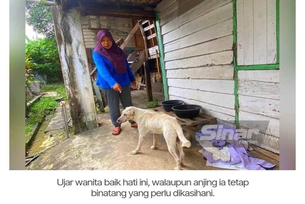 Kisah Norhaeda memberi makan anjing liar pernah disiarkan di Sinar Harian pada tahun 2023.