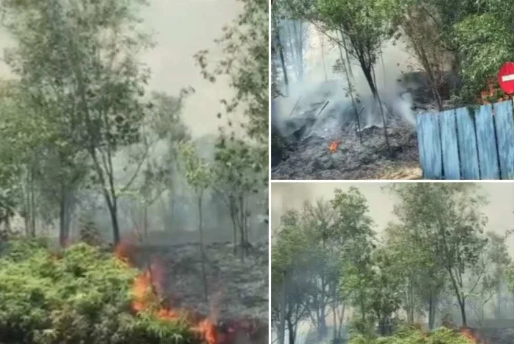 Kawasan hutan seluas kira-kira dua hektar berhampiran Plaza Tol Denai Alam, DASH terbakar pada Isnin. Foto: Bernama