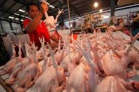 Bekalan ayam dan telur di pasaran tempatan dijangka mencukupi dan tidak berdepan sebarang masalah terutama menjelang Ramadan bulan depan. Gambar hiasan 