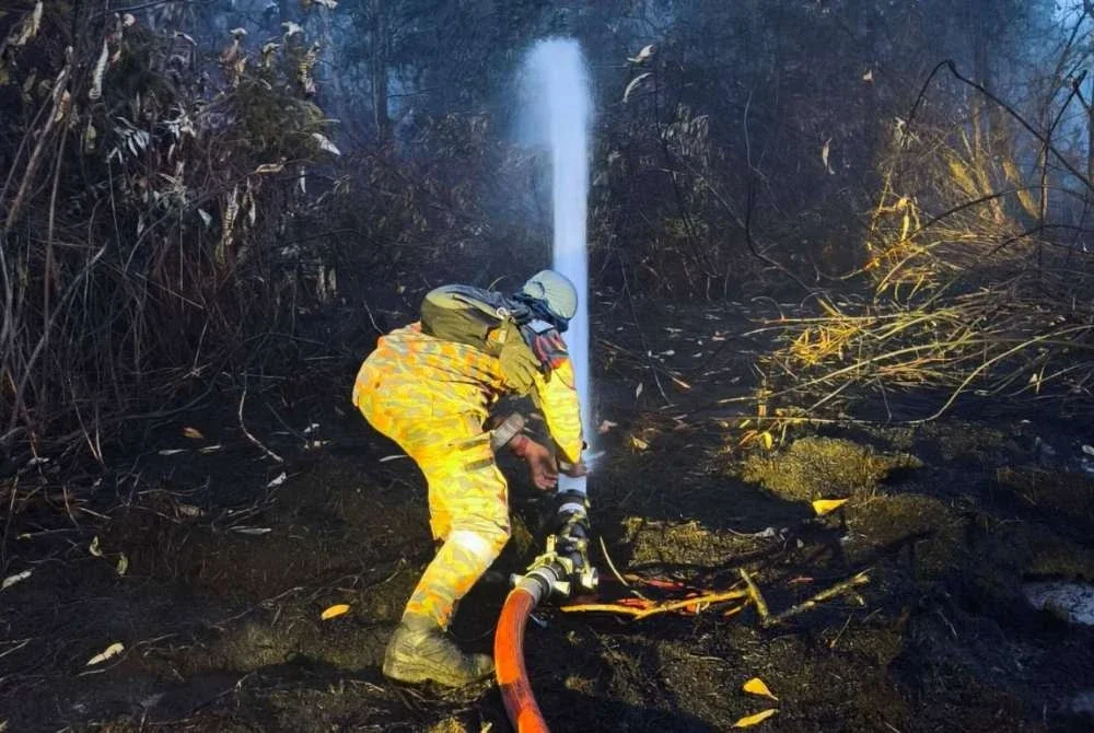 Tahap kemerebakan kebakaran tinggi susulan cuaca kering dan berangin menyebabkan asap tebal merebak ke kawasan perumahan sekitar Taman Bayu Damai. Facebook JBPM Johor 