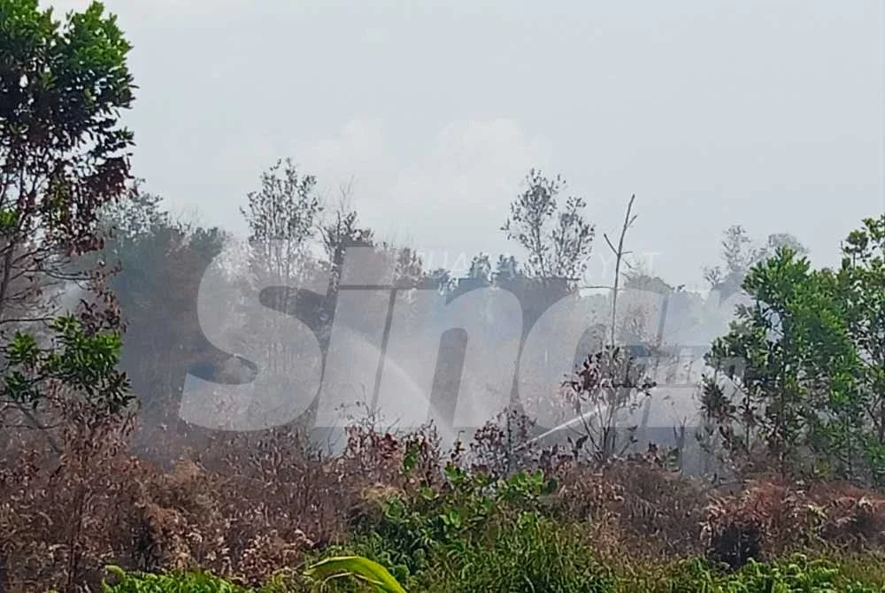 Kebakaran di Taman Bayu Damai bermula sejak Jumaat lalu.