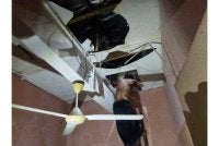 Seorang lelaki warga asing bersembunyi di atas bumbung.