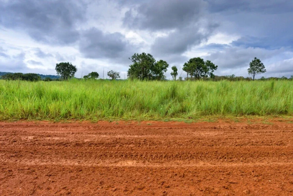 Kelantan mencatatkan keluasan TRM tertinggi negara iaitu sebanyak 1.36 juta hektar pada tahun 2024.