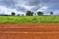 Kelantan mencatatkan keluasan TRM tertinggi negara iaitu sebanyak 1.36 juta hektar pada tahun 2024.