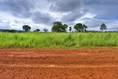 Kelantan mencatatkan keluasan TRM tertinggi negara iaitu sebanyak 1.36 juta hektar pada tahun 2024.