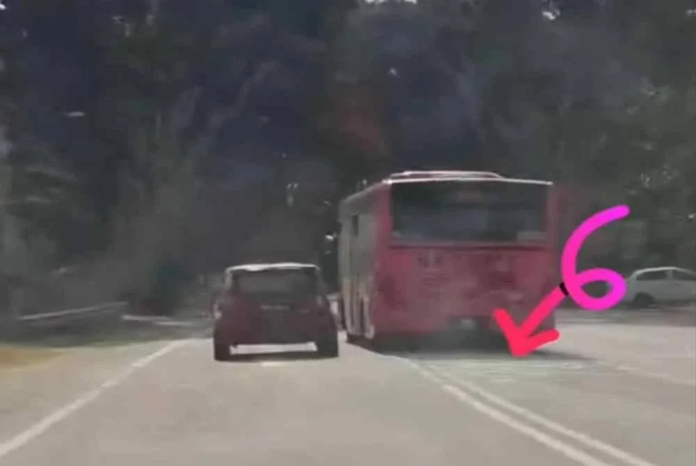 Rakaman tular bas merah jambu memotong di garisan berkembar. 