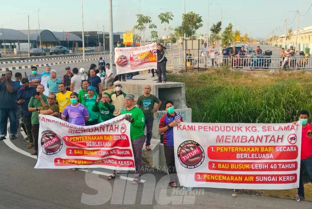 Penduduk mengadakan bantahan aman bagi mendesak ladang babi di Kampung Selamat ditutup.