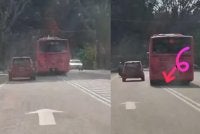 Rakaman tular bas merah jambu memotong di garisan berkembar. 