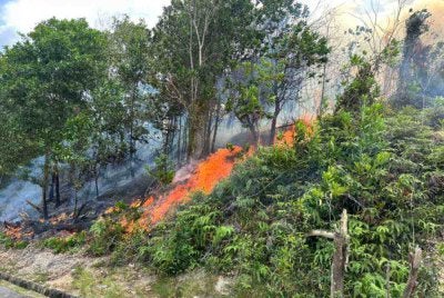 Antara kawasan belukar dan lalang yang terbakar di sekitar Melaka pada Sabtu.