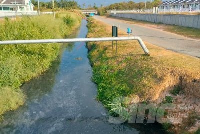 Keadaan parit yang tercemar akibat daripada aktiviti penternakan babi di Kampung Selamat.