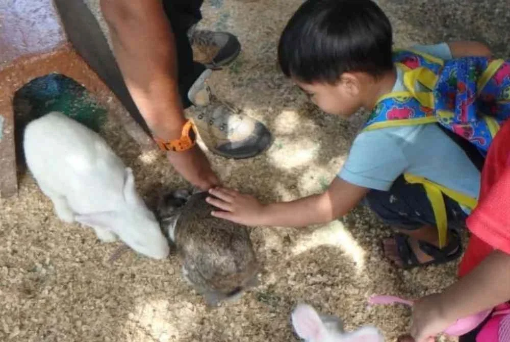 Taman Burung Pulau Pinang menjadi pengalaman menarik kepada kanak-kanak yang berpeluang menyentuh haiwan itu.