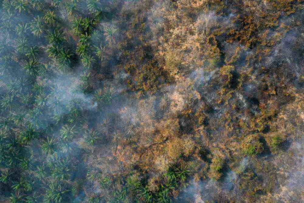 Keadaan semasa kebakaran tanah gambut yang melibatkan ladang kelapa sawit seluas 18 hektar di Batu 13/14, Mukim Ayer Hitam ketika tinjauan fotoBernama, hari ini. Foto Bernama 