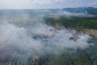 Keadaan semasa kebakaran tanah gambut yang melibatkan ladang kelapa sawit seluas 18 hektar di Batu 13/14, Mukim Ayer Hitam ketika tinjauan fotoBernama, hari ini.- Foto Bernama 