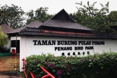 Taman Burung Pulau Pinang terletak di Seberang Jaya, Pulau Pinang.