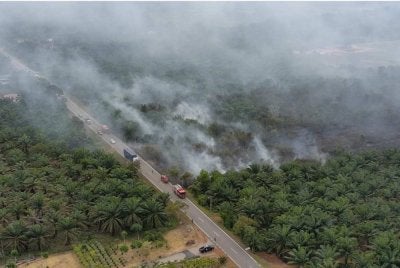 Sekitar 12 hektar hutan tanah gambut di Batu 13 Bukit Naning, Johor dilaporkan terbakar pada Sabtu. - Foto: JBPM Johor