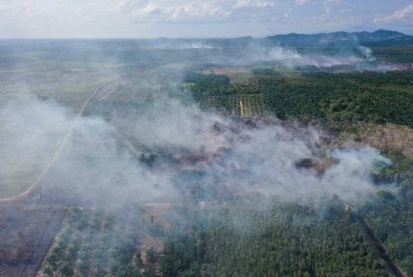 Keadaan semasa kebakaran tanah gambut yang melibatkan ladang kelapa sawit seluas 18 hektar di Batu 13/14, Mukim Ayer Hitam ketika tinjauan fotoBernama, hari ini.- Foto Bernama 