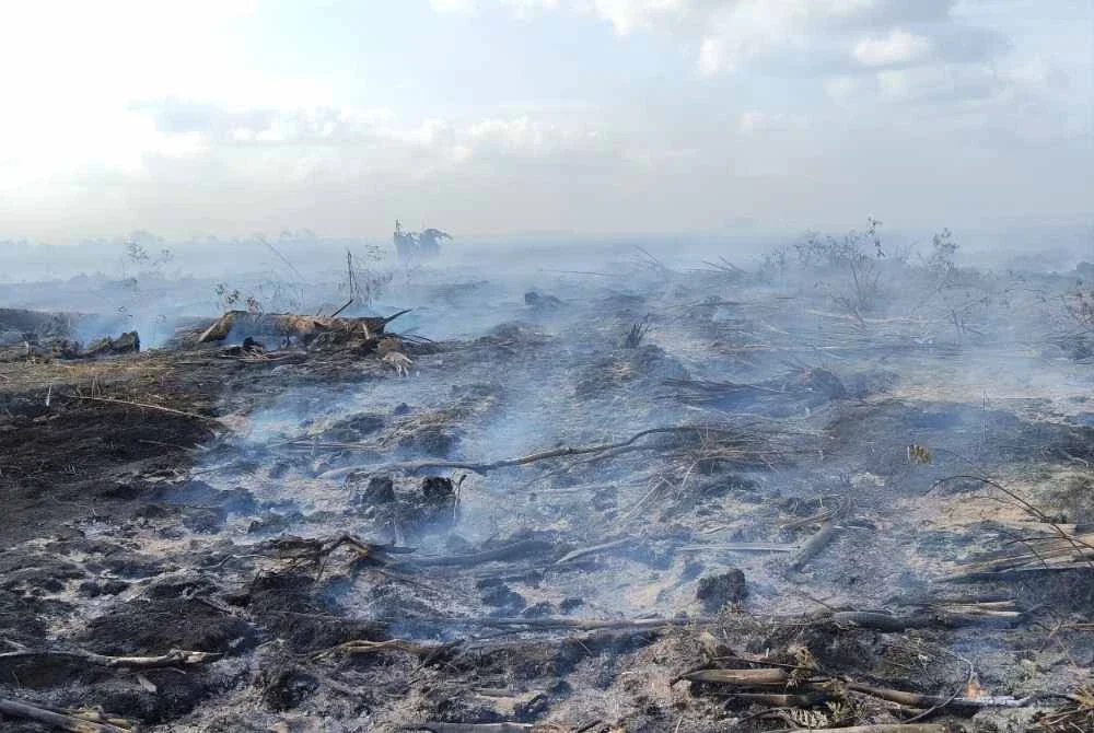 Keadaan tanah gambut yang kering meningkatkan risiko kebakaran merebak ke kawasan berhampiran. Foto: JBPM Johor