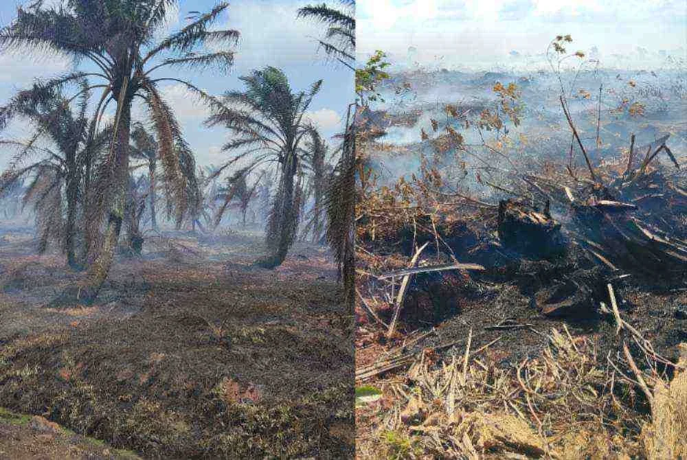 Kekangan infrastruktur ladang serta sumber air yang terhad menjadi cabaran utama operasi. Foto: JBPM Johor