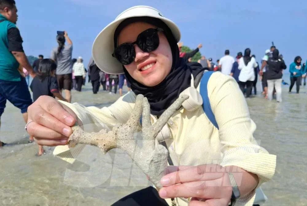 Pelancong, Khairun Nisa Rozali, 30, dari Ipoh menunjukkan terumbu karang yang ditemui ketika pembentukan 'laut terbelah' yang membolehkan pengunjung berjalan kaki di atas beting pasir.