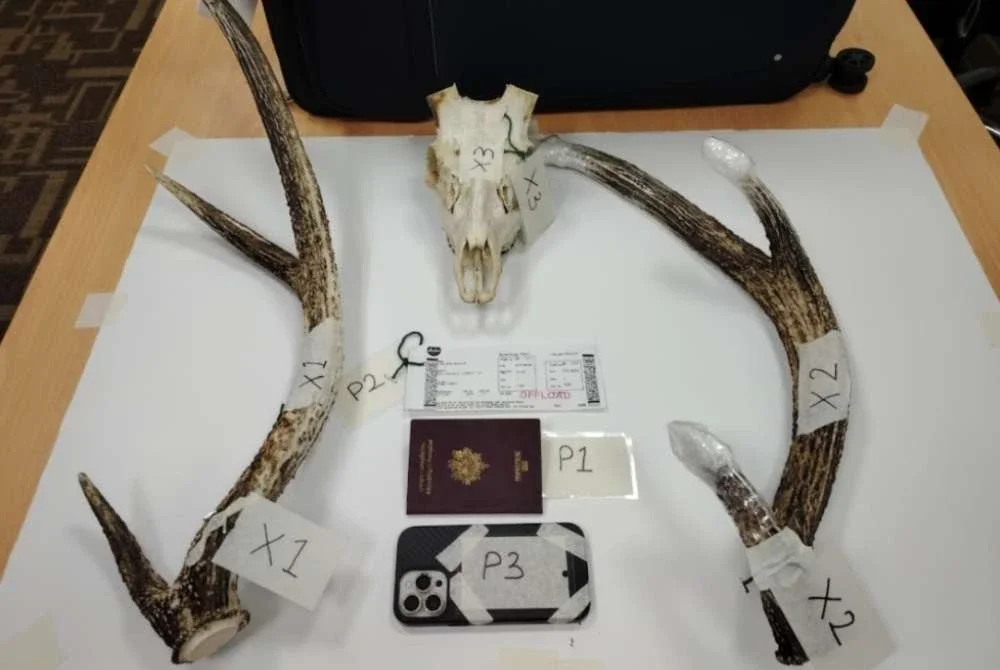 Antara barangan yang disita AKPS.