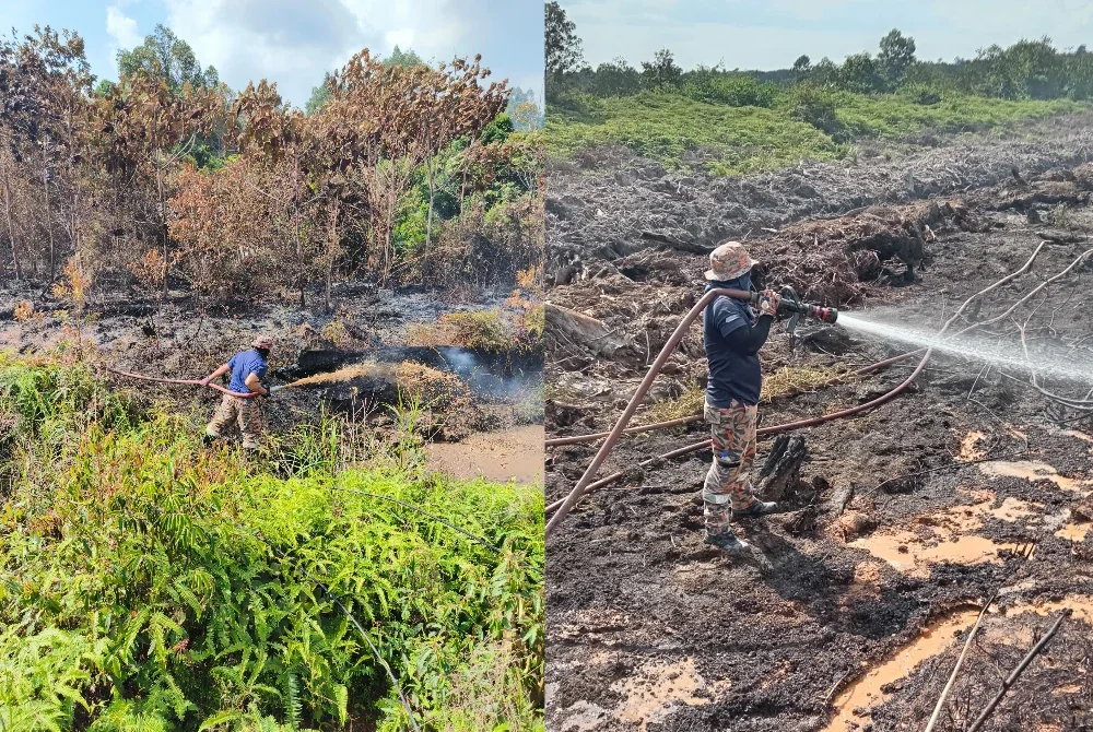 Anggota bomba sedang melakukan pemadaman kebakaran hutan di Bio Desaru, Kota Tinggi.