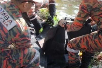 Mangsa disahkan meninggal dunia oleh pihak KKM seterusnya diserahkan kepada pihak polis untuk tindakan selanjutnya.