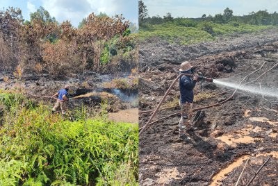 Anggota bomba sedang melakukan pemadaman kebakaran hutan di Bio Desaru, Kota Tinggi.
