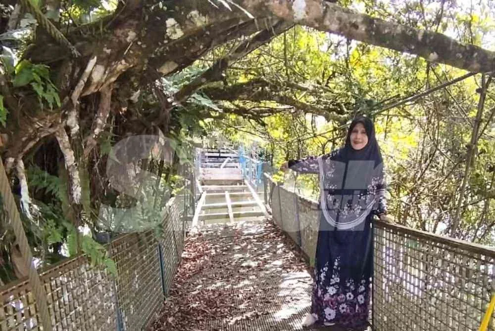 Siti Nor menunjukkan jambatan gantung di Sungai Setiu yang rosak dan tidak diselenggara.