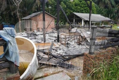 Polis menahan empat individu bagi membantu siasatan kes pembunuhan kejam membabitkan penemuan enam rangka manusia dalam sebuah rumah terbiar yang terbakar.