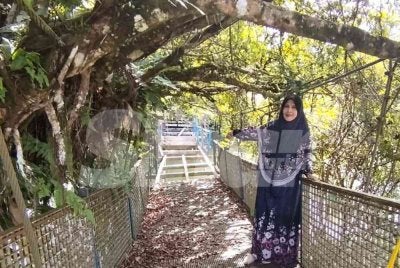 Siti Nor menunjukkan jambatan gantung di Sungai Setiu yang rosak dan tidak diselenggara.