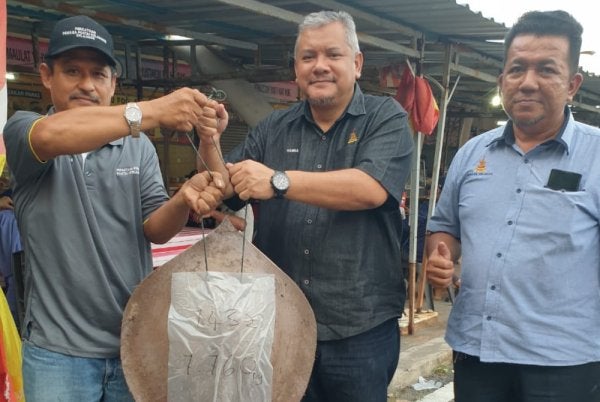 Ahmad Roslan (kiri) menunjukkan ikan pari seberat tujuh kilogram yang pernah dipancing di Pantai Kelanang.