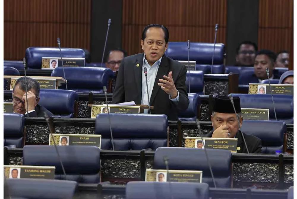 Ahmad Maslan. Foto fail Bernama 