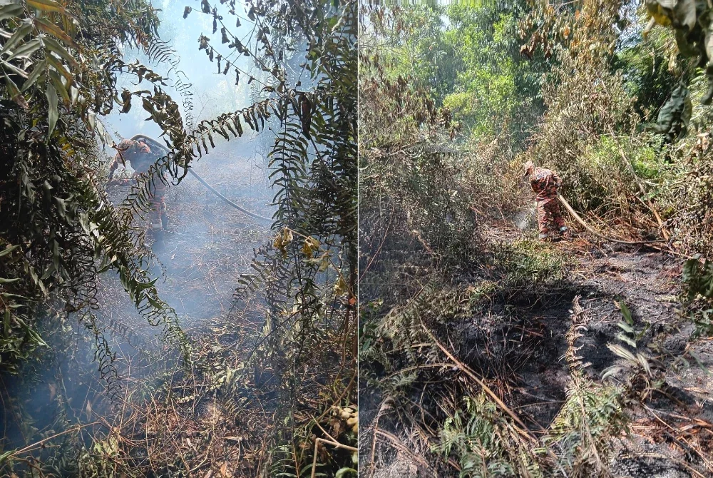 Anggota bomba membantu memadam kebakaran salah satu kawasan hutan yang dilaporka berlaku di negeri ini - Foto: JBPM Pahang