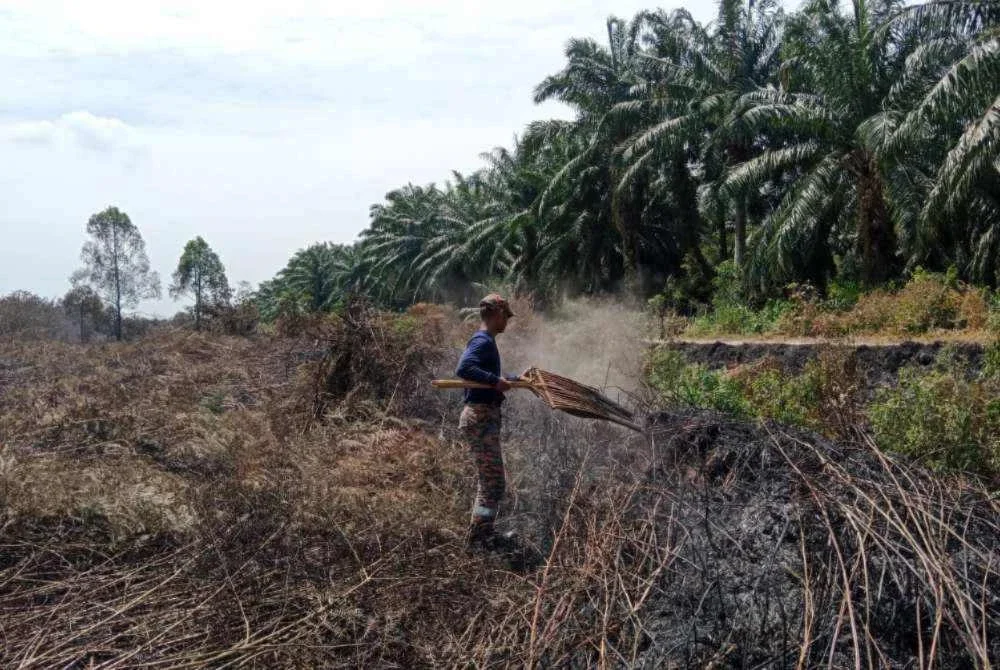 Pasukan operasi memadamkan kebakaran kawasan Hutan Simpan Kuala Langat sejak Selasa. Foto: Bomba Selangor
