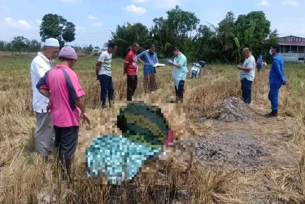 Mangsa ditemui meninggal dunia di kawasan sawah berhampiran Parit 1½ Barat Sungai Besar, Sabak Bernama pada Rabu.