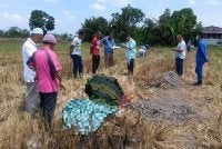 Mangsa ditemui meninggal dunia di kawasan sawah berhampiran Parit 1½ Barat Sungai Besar, Sabak Bernama pada Rabu.