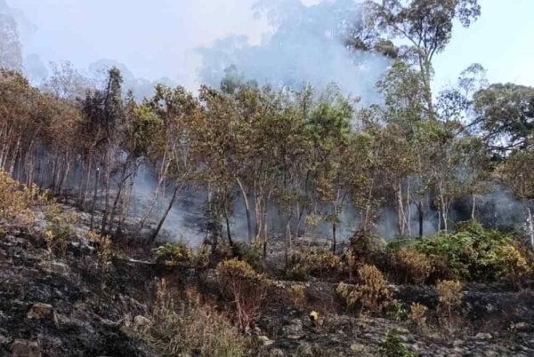 Kebakaran hutan seluas kira-kira lima hektar dilaporkan berlaku di kawasan Botanical Gardens, Jalan Kebun Bunga pada petang Rabu.