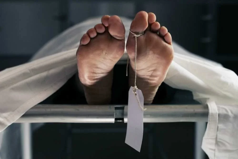 Seorang lelaki ditemukan meninggal dunia dipercayai terjatuh dari pokok petai di sebuah kebun di Kampung Bukit Hijau, Kupang dekat sini, hari ini. - Gambar hiasan