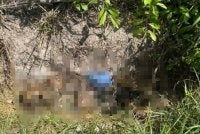 Mayat seorang lelaki yang telah mereput ditemukan di kawasan kebun kelapa sawit di Kampung Parit Bunga Laut, Sungai Mati Tangkak pada Selasa.- Foto tular