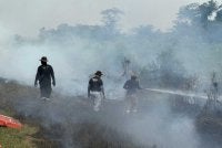 Pasukan operasi melaksanakan pemadaman kebakaran Hutan Simpan Kuala Langat Selatan sejak Selasa. Foto: Bomba Selangor