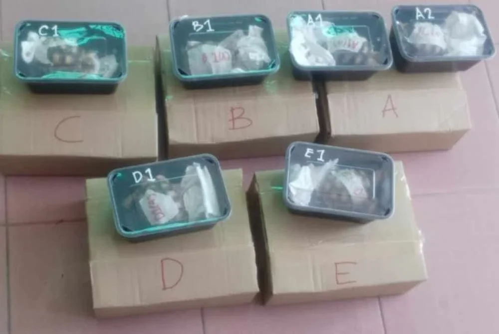 Pelbagai spesies kura-kura dirampas dalam serbuan di sekitar Perlis pada Rabu. Foto Perhilitan