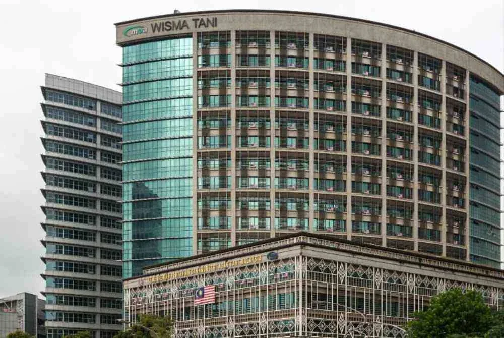 KPKM menerusi DVS meluluskan pengimportan daging khinzir dari Brazil dan Thailand sebagai langkah menampung keperluan bekalan daging khinzir di pasaran tempatan semasa musim perayaan Tahun Baharu Cina.