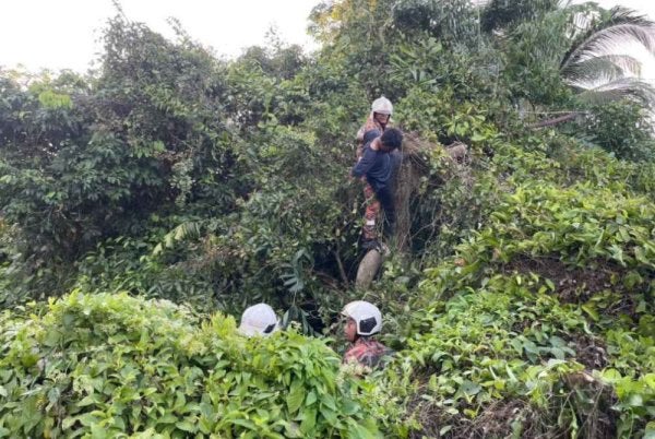 Penebang pokok yang kakinya tersepit celah dahan diselamatkan anggota Balai Bomba dan Penyelamat (BBP) Bachok pada Jumaat. Foto:JBPM