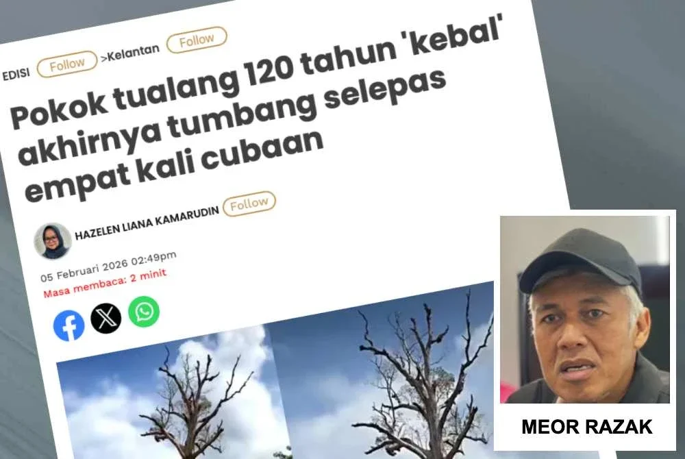 SAM menyuarakan kekesalan apabila sebatang pokok tualang berusia lebih 120 tahun berhampiran Kampung Sungai Bayu, Gua Musang ditebang bagi memberi laluan kepada pembinaan projek LTU pada Khamis lalu.
