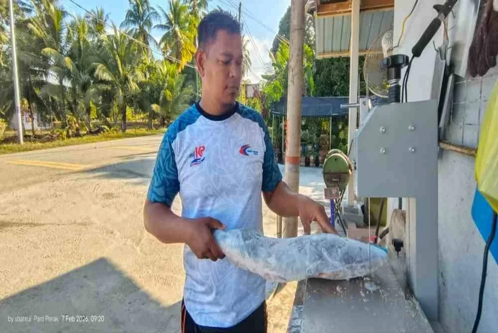 Muhamad Shahrul mengakui, penyusutan paras air Sungai Perak memberi kesan kemerosotan hasil ikan sehingga 60 peratus kepada komuniti nelayan di daerah Perak Tengah.