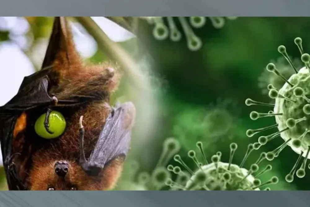 Ancaman virus bawaan kelawar buah itu telah mencetuskan saringan ketat di kebanyakan pintu masuk negara rantau Asia Tenggara. Foto Agensi