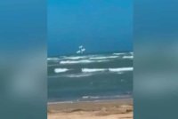 Tiga lelaki maut selepas sebuah pesawat ringan terhempas di selatan Adelaide pada petang Jumaat.