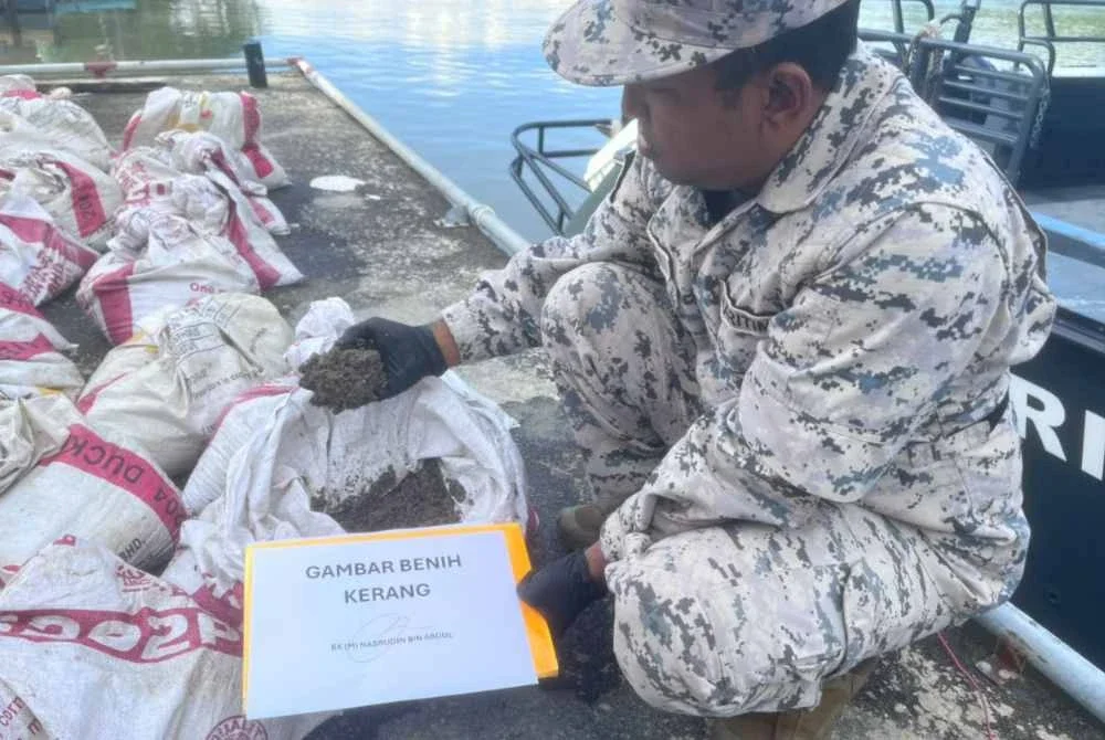 Benih kerang bernilai RM34,500 yang dirampas. Foto: Maritim Malaysia